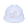 缩略图 2