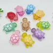 缩略图 5