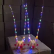 缩略图 2