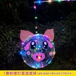 缩略图 5