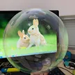 缩略图 3