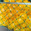 缩略图 9