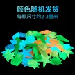 缩略图 5