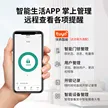 缩略图 2