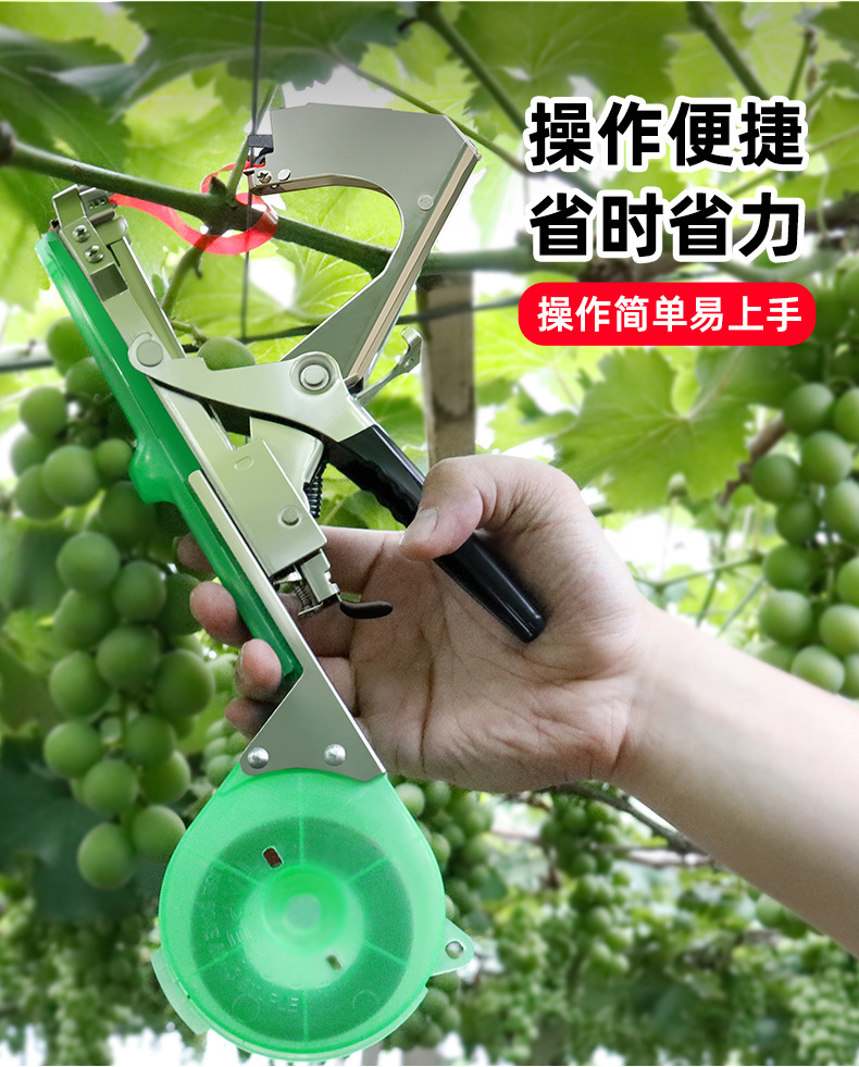 详情_03
