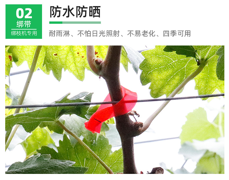 详情_08