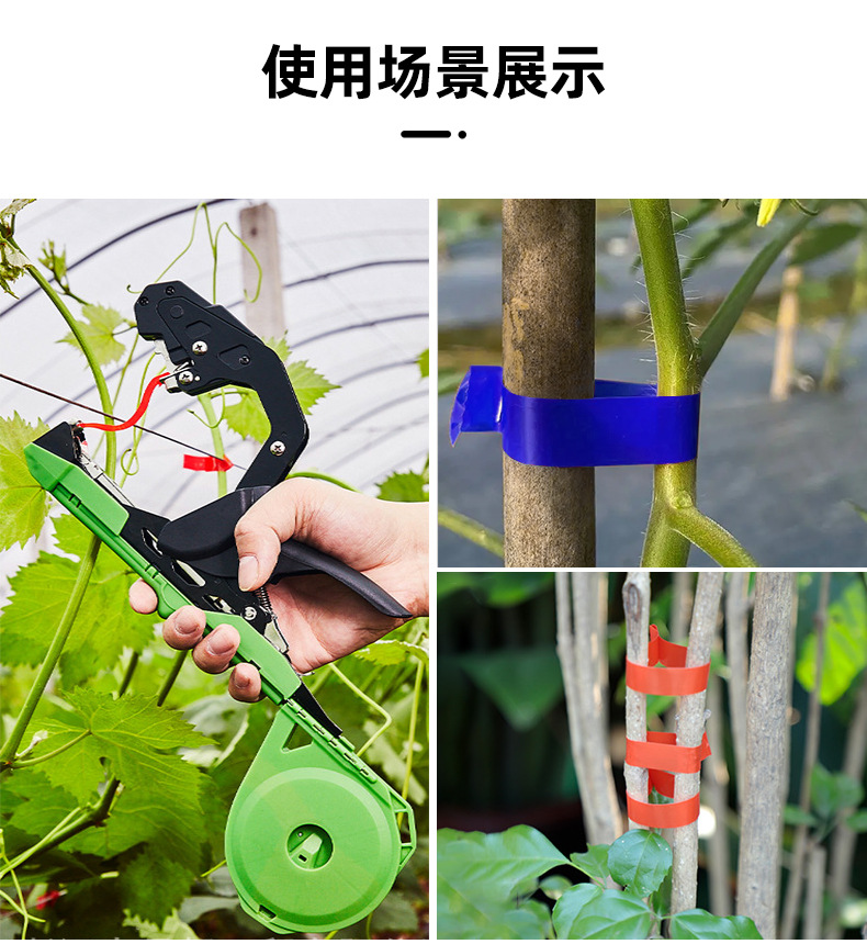 详情_11