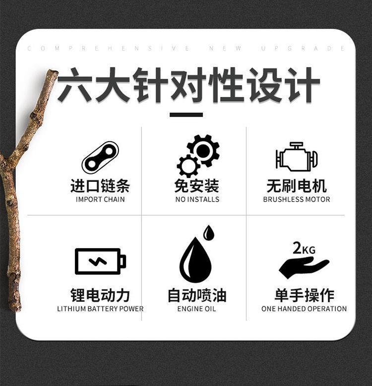 详情图片1 (2)
