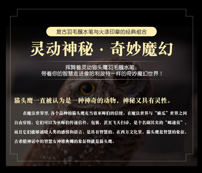 详情_01.jpg