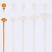 缩略图 5