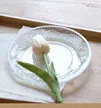缩略图 4