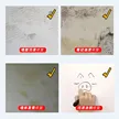 缩略图 3
