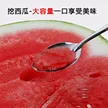 缩略图 4