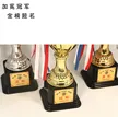 缩略图 3