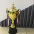 缩略图 2