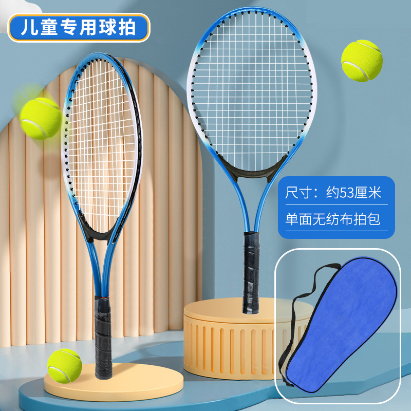 蓝色 - 无训练器.jpg