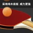 缩略图 1