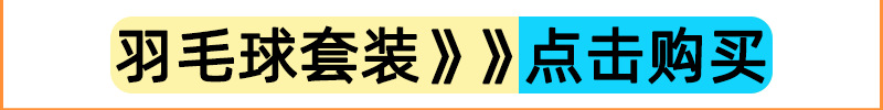 羽毛球.png1