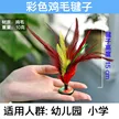 缩略图 5