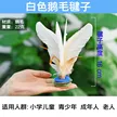 缩略图 8