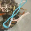 缩略图 9