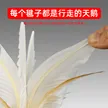 缩略图 3
