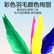 缩略图 3