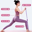 缩略图 2