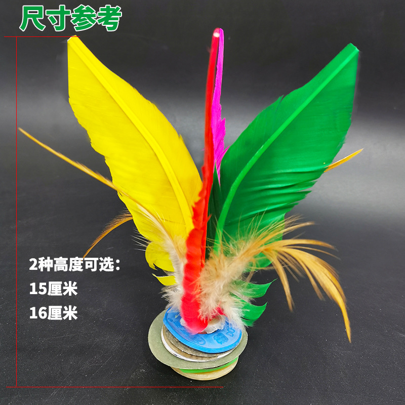 彩大白尺寸02