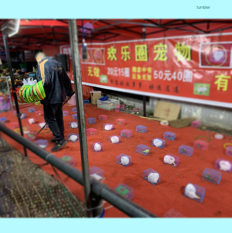 详情-13