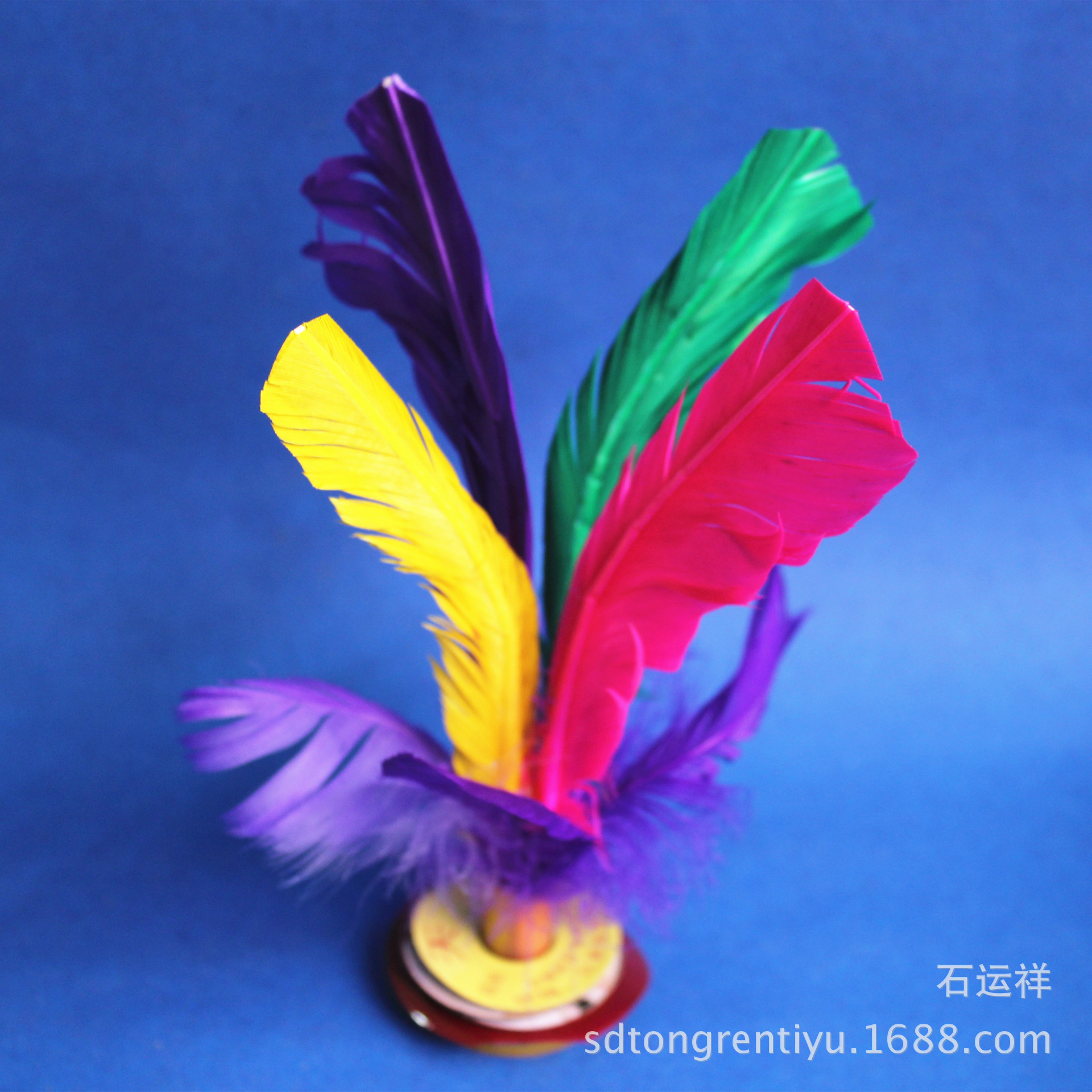 照片 230_副本