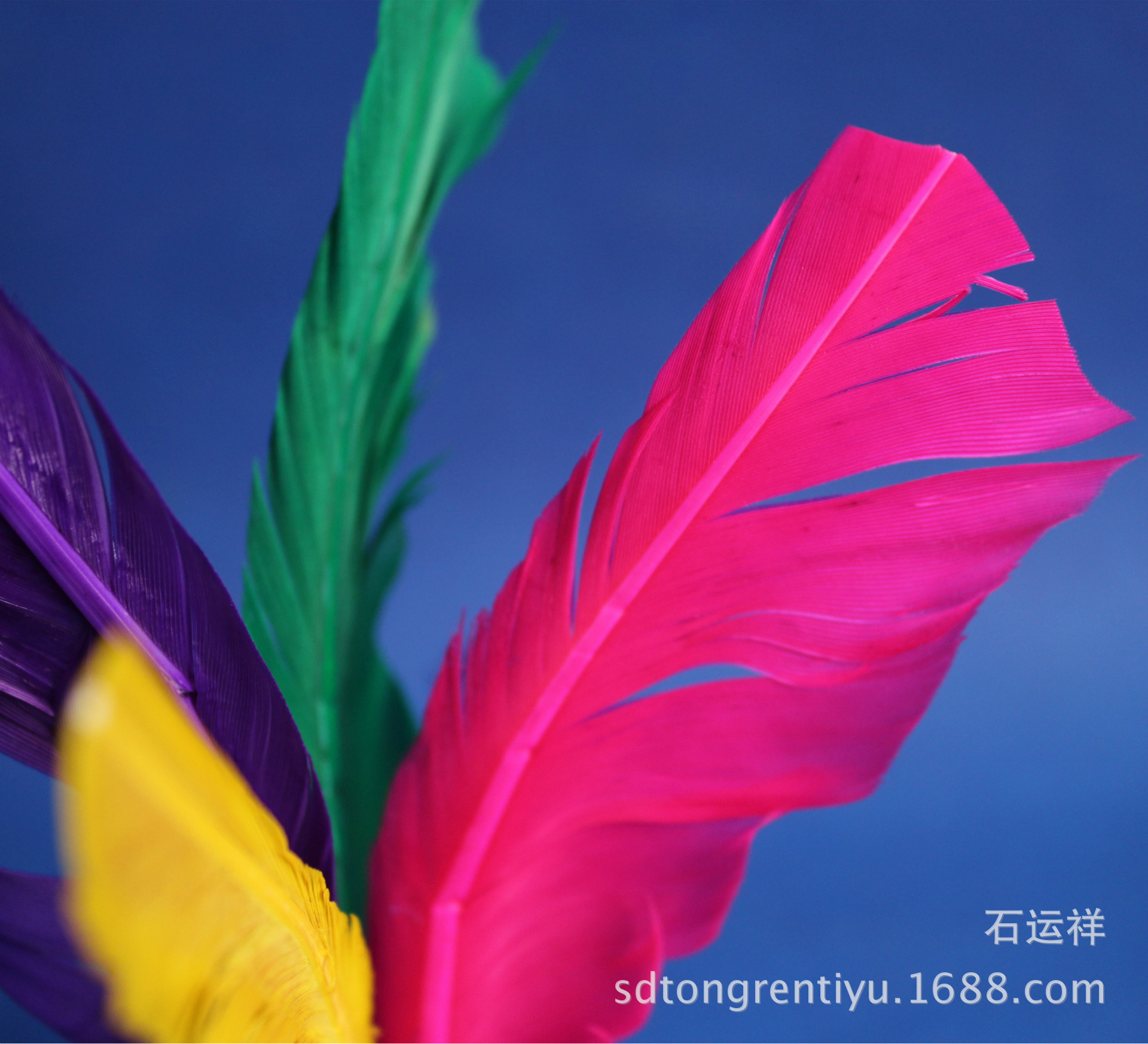 照片 234_副本