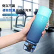 缩略图 3