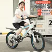 缩略图 5