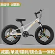 缩略图 8