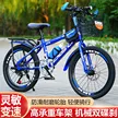 缩略图 5