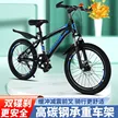 缩略图 8