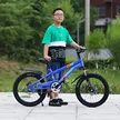 缩略图 8