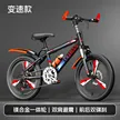 缩略图 5