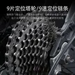 缩略图 5