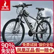 缩略图 4