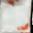 缩略图 3