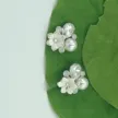 缩略图 1