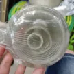 缩略图 1