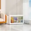 缩略图 5