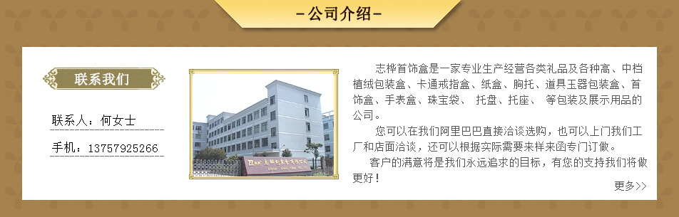 公司介绍