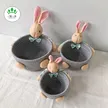 缩略图 5