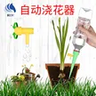 缩略图 2