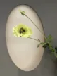 缩略图 2