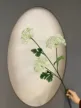 缩略图 1